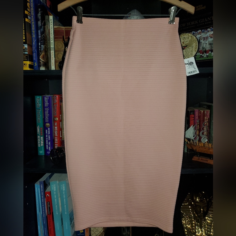 Charlotte Russe Long Pink Skirt
